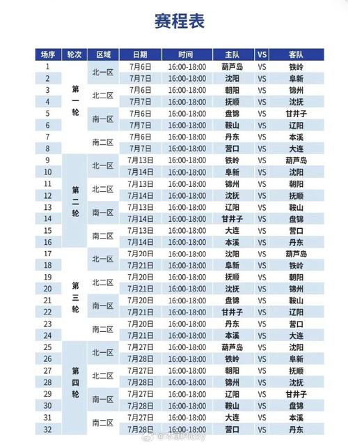 开云体育app：辽宁队本赛季的关键胜利盘点，辽宁球赛时间表2021